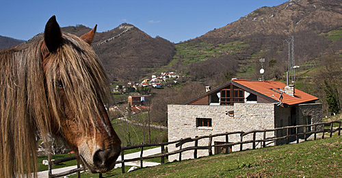 Desde el Hotel Reciegos le podemos proponer algunas rutas  que le permitirán  caminar por el interior de  los extensos bosques que tapizan El Parque Natural de Redes, trepar por  sus riscos , apagar su sed en abundantes fuentes, ver paisajes grandiosos ..